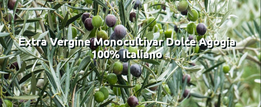 Extra Vergine Monocultivar  Dolce Agogia 100% Italiano