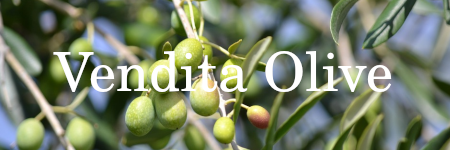Vendita Olive da Olio Dop
